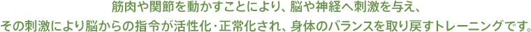 筋肉や関節を動かすことにより、脳や神経へ刺激を与え、その刺激により脳からの指令が活性化・正常化され、身体のバランスを取り戻すトレーニングです。